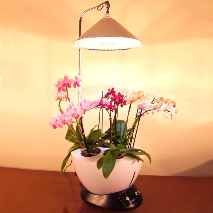 jardinière hydroponiques pour culture hors sol des orchidées et potager d' intérieur